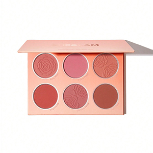 پالت رژگونه شیگلم شش عددی مدل فلورال فلاش|Floral Flush Blush Palette(اصل)